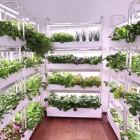 72 Grandes positions de plantation, jardin d'intérieur intelligent, jardinière auto-arrosante pour la culture de légumes et de fleurs à la maison