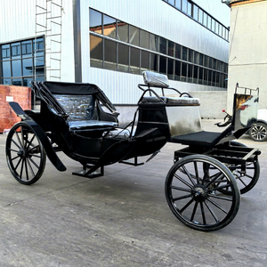 Carrozza Elettrica a 4 Ruote per Tour Turistici e Matrimoni con Garanzia di 2 Anni, Capacità 4-6 Persone - Product Image 1