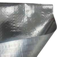 Pare-vapeur flexible en feuille pour structures de toit complexes