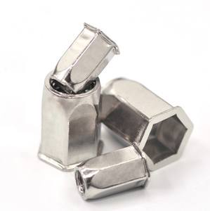 पेशेवर छोटे काउंटरसनक सिर स्टेनलेस स्टील 304 पूर्ण हेक्स रिवेट नट पुल कैप दीन पैकेज्ड कार्टन + प्लास्टिक बैग नट - Product Image 2