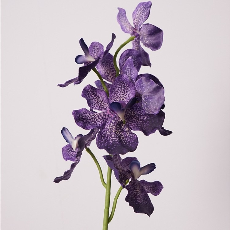 Violet foncé