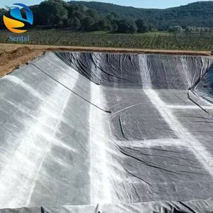 Géomembrane HDPE anti-UV pour couvertures flottantes sur étangs d'évaporation, lagons d'eaux usées, fermes piscicoles, barrages - Product Image 4