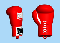 Netac — clé usb en pvc 2.0 pour gants de boxe, support à mémoire de forme, lecteur flash, stockage électronique cool, bâton de vente