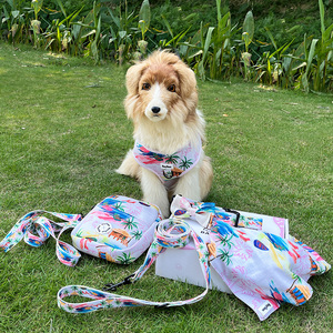 时尚奢华设计师可逆套装狗背带定制狗手帕宠物项圈个性化无拉氯丁橡胶狗Har套装 - Product Image 1