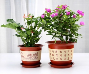 Nuova casa interna soggiorno verde paradiso albero degli uccelli <span class=keywords><strong>pianta</strong></span> con pelle di tigre orchidea verde vaso di fiori in resina per l'applicazione del giardino - Product Image 2