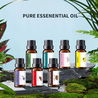 Huiles parfumées à la citronnelle bio 10Ml pour diffuseurs à ultrasons Citronnelle Plug In Room Freshener Aroma Diffuser Essential Oil