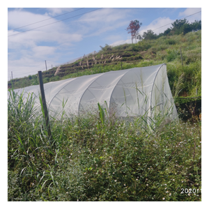 Nylon chống côn trùng Net nhà kính che cây và túi trái cây tùy chỉnh cắt dịch vụ chế biến - Product Image 3