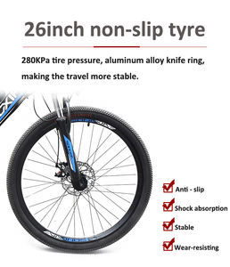 Bicicleta Eléctrica Eswing de Montaña, 250W, 36v, Bicicleta Eléctrica Económica para Carretera - Product Image 5