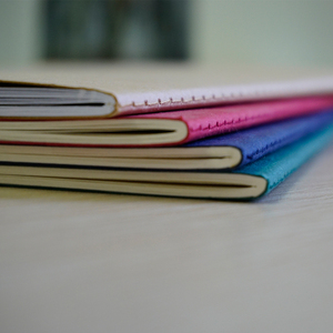 Elegant A5 Travel Journal Eco-Friendly <strong>Dotted</strong> <strong>Notebooks</strong> with Paper Cover China Manufacturer - Product Image 5