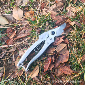 กรรไกรตัดแต่งกิ่งไม้ผลไม้ Mingzuan 195 ใบมีดสแตนเลส ขนาด 60 มม. เส้นผ่านศูนย์กลางการตัด 20-30 มม. สำหรับใช้ในสวน - Product Image 2