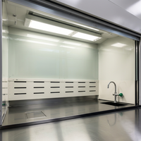 Nouvelle hotte d'extraction de fumées chimiques de laboratoire avancée en acier inoxydable avec filtre HEPA et système de sécurité de contrôle du flux d'air