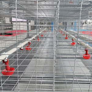 Jaula Automática Tipo A para Gallinas Ponedoras <span class=keywords><strong>de</strong></span> Granja Avícola, para Pollitas <span class=keywords><strong>de</strong></span> un Día, Buen <span class=keywords><strong>Precio</strong></span> - Product Image 1
