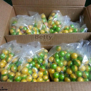 2000 pièces/boîte, billes de paintball gonflables biodégradables à base de gélatine, calibre 0,68 - Product Image 5