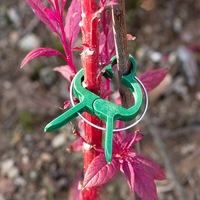 Support de fixation moderne pour légumes et fleurs, cadre de support pour roses, tomates, concombres, semis, clip de fixation en plastique PP pour plantes grimpantes