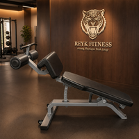 Nouveau design, équipement de musculation de haute qualité, directement de l'usine, équipement de fitness commercial, banc abdominal réglable avec garantie