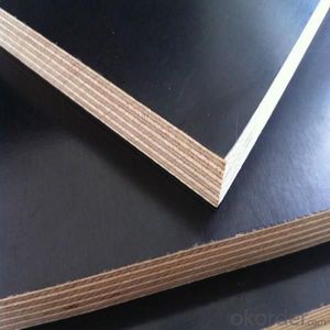 <span class=keywords><strong>Tablero</strong></span> de Contrachapado Estándar Biz, Revestimiento Impermeable, Película Fenólica, Contrachapado Laminado de Doble Cara <span class=keywords><strong>para</strong></span> Encofrado de Hormigón - Product Image 5
