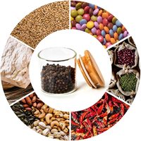 Ensemble de récipients de stockage d'épices hermétiques pour la cuisine, acheter en vrac des pots à épices en verre transparent de 4 oz avec couvercles en bambou