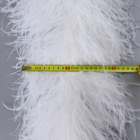 Boa en plumes d'autruche multicolores teintes 1 2 3 4 5 8 10 plis, 2 mètres, châle, robe de soirée, vêtement féminin, décoration DIY, écharpe