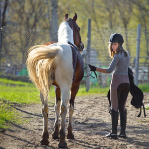 Calzoni <span class=keywords><strong>da</strong></span> competizione per sedili completi collant <span class=keywords><strong>da</strong></span> <span class=keywords><strong>equitazione</strong></span> con stampa in Silicone <span class=keywords><strong>pantaloni</strong></span> equestri con tasche per cintura Leggings <span class=keywords><strong>da</strong></span> donna - Product Image 3