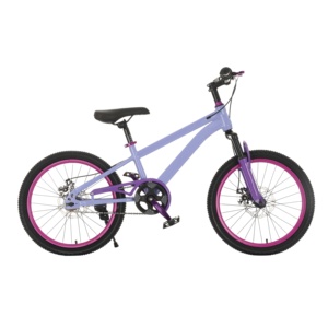 Bicyclettes pour enfants, garçons et filles, vélos de montagne en plastique pour garçons et filles, 12 <span class=keywords><strong>pouces</strong></span>, <span class=keywords><strong>16</strong></span> <span class=keywords><strong>pouces</strong></span>, 20 <span class=keywords><strong>pouces</strong></span>, design à l'ancienne, vente en gros - Product Image 3