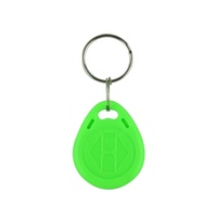 Étiquette RFID NFC F08 13,56 MHz étanche et résistante aux intempéries, porte-clés ABS, carte d'accès avec distance de lecture de 2 à 5 cm