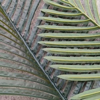 Vente en gros de feuilles de palmier artificielles tropicales de haute qualité, plusieurs styles, pour balcon, structure d'escalade pour chat, palmiers en forme de cocotier