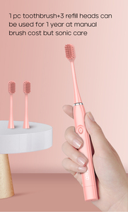 Brosse à dents électrique sonique Seago OEM, économique, mince, fonctionnant sur piles, étanche IPX7, avec couleur élégante pour adultes. - Product Image 6