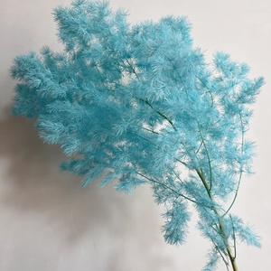 Fougères Ming et Fougères Asperges Stabilisées Écologiques, Prix de Gros, Fournitures pour Artisanat Floral DIY Personnalisé, Décoration Maison et Mariages Rustiques - Product Image 5