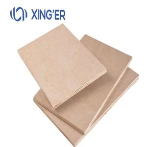 Pegamento fenólico, <span class=keywords><strong>tablero</strong></span> de madera contrachapada de abedul, Panel <span class=keywords><strong>estructural</strong></span> impermeable para uso en muebles y construcción, servicio de exportación OEM - Product Image 5
