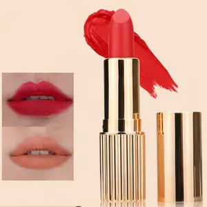 Silk Mist Lipstick Non Staying Cup Waterproof Moisturizing Easy to use Long lasting Bright Authentic Wholesale Lipstick