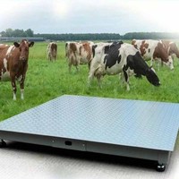 Báscula de Plataforma y Piso de Acero con Pantalla LED LCD, Impermeable, OEM/ODM Personalizable, 1.5*2M de Capacidad, 1 Año de Garantía