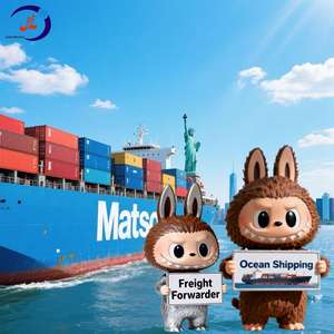 货运代理LCL + 快递产品类别中国到美国门到门海运服务，具有竞争力的DDP运费 - Product Image 1