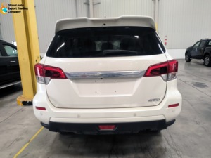 Nuevo y Más Vendido para el SUV Paladin |   2.0T 8AT R18 |   Gasolina Euro VI |   4x4 |   Interior de Dos Tonos |   Vista envolvente de 360 grados, izquierda - Product Image 4