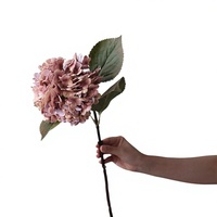 Real Touch Fleurs Artificielles Hortensia Fleurs Soie Fleur Fête De Mariage Bureau Maison Noël Graduation Décor À La Maison