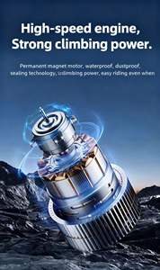 Трехколесный электрический мотоцикл Songsheng для сельского хозяйства и отдыха, грузоподъемность 300-400 кг, система впрыска топлива Kingdom Four - Product Image 4