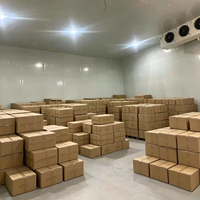 Chambre froide commerciale, congélateur, chambre froide de réfrigération, chambre froide industrielle