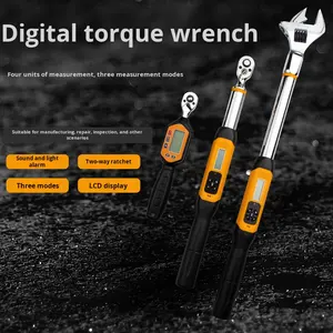 Pemanfaatan 1/2 17-340 Nm kunci pas torsi Digital, kepala kunci pas torsi Digital ratchet LED metrik dapat diganti - Product Image 3