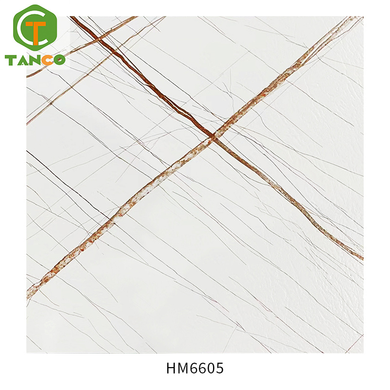 HM6605