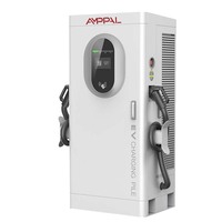 AMPPAL Estación de carga EV de pistolas dobles 60kw-200kw Montado en el piso CCS1 2 Chademo GB/T Salida-750 VDC