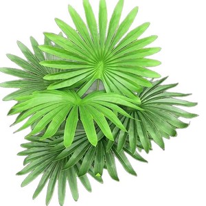 Feuilles de palmier artificielles Greenway 30cm-100cm, verdure décorative intérieure et extérieure - Product Image 2