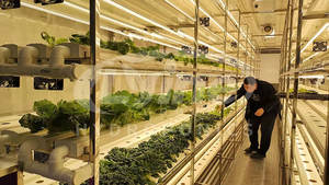 Conteneur de culture d'herbes végétales hydroponiques aéroponiques personnalisable de 20 pieds - Product Image 2