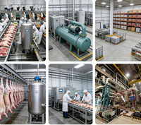 Système de réfrigération industriel à l'ammoniac pour entrepôts frigorifiques, salles de congélation, transformation de la viande et stockage d'aliments surgelés