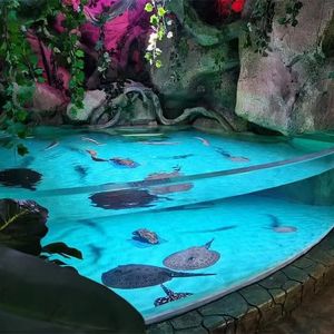 Acuario de Plástico Acrílico Moderno y Grande Personalizado, Ecológico, de 600L, con Vista Ultra Clara, Diseño sin Juntas, para Agua Salada y Agua Dulce - Product Image 4