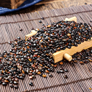Hovenia Dulcis Essiccata: Erba Alimentare-Medicinale dal Gusto <span class=keywords><strong>Dolce</strong></span> e Delicato, Allevia il Carico Corporeo, Elimina il Grasso, Bevanda per Tutte le Stagioni, Personalizzabile - Product Image 3