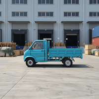 Pick-up électrique compact 2 places avec batterie au plomb-acide, moteur 1500W pour la livraison urbaine des petites entreprises, logistique efficace