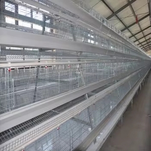 96/120/128/160 Chim Hai Lớp Gà Lồng 3/4 Tầng Gia Cầm Nuôi 500 Gà Pin Trứng Lớp Gà Lồng Cho Đẻ Gà - Product Image 5