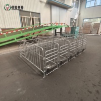 Fabricant de boxes pour porcs, vente directe usine, boxes pour truies en acier galvanisé, équipement d'élevage porcin, taille personnalisée, OEM, vente en gros