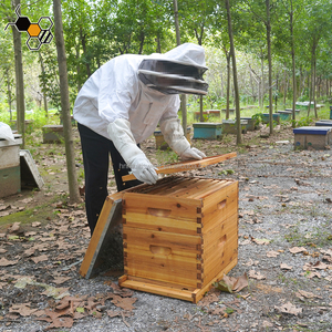 Bee <span class=keywords><strong>Hive</strong></span> bán buôn bằng gỗ <span class=keywords><strong>langstroth</strong></span> tổ ong - Product Image 6