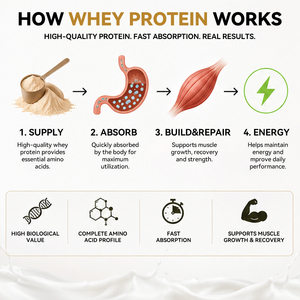 Proteína de Suero de Leche en Polvo de Marca Privada OEM/ODM, Bebida Sólida de 500g, Suplemento para Fitness, Aumenta la Masa Muscular Magra, Mejora la Condición Física a Largo Plazo - Product Image 2