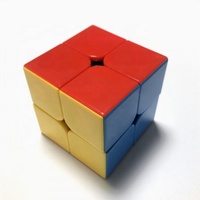 2025 Cube magique en plastique de nouvelle conception 2X2x2 de qualité supérieure pour l'exercice du cerveau
